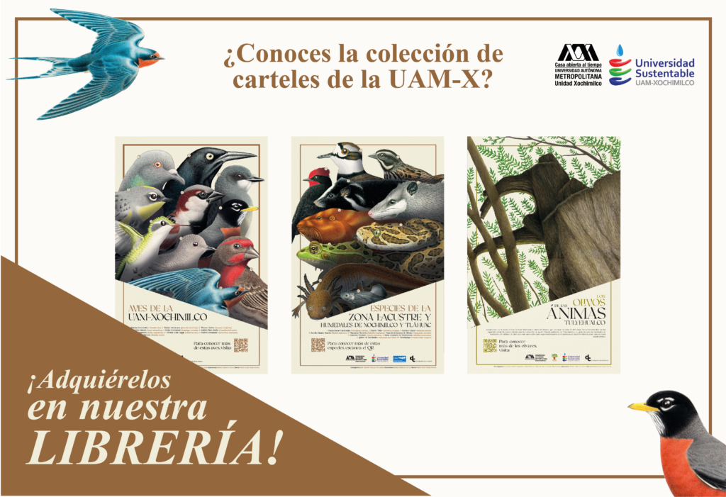 Colección de carteles de la UAM Xochimilco Protección Civil UAM X